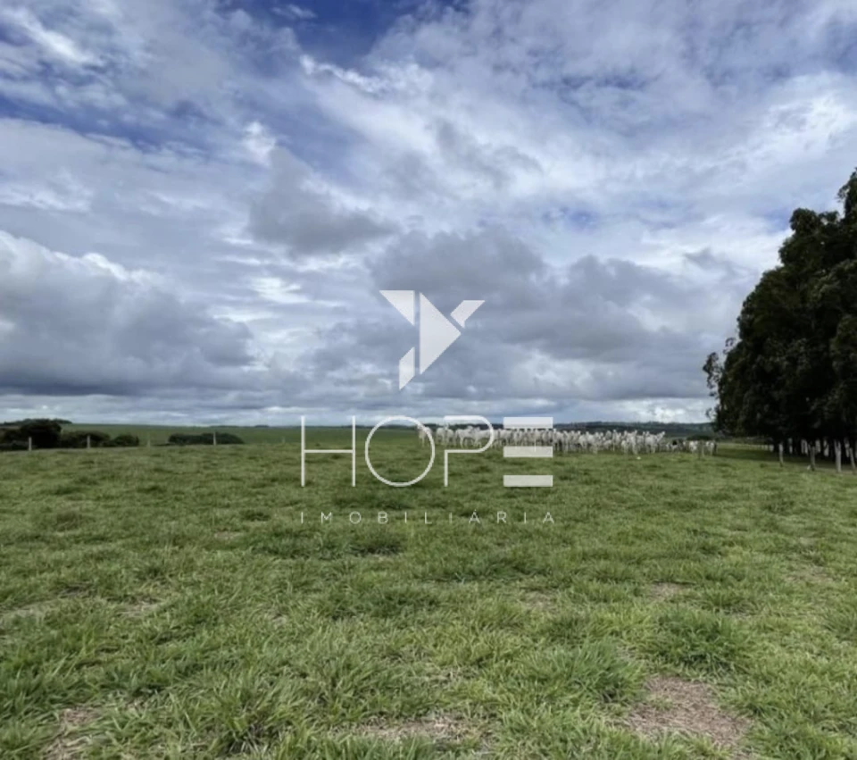 Imagens do imóveis Fazenda 207 Alqueires - Dupla Aptidão - Cana Arrendada - Mineiros GO - 7 km do Asfalto