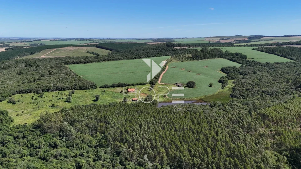 Imagens do imóveis Fazenda à venda com 75 alqueires (181.5 hectares) - agricultura e eucalipto - São Miguel Arcanjo SP