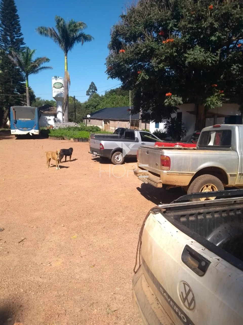 Imagens do imóveis Fazenda à venda 1.006 hectares cafeeira – região de Campos Altos – Minas Gerais