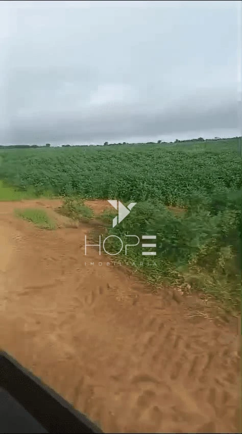 Fazenda à venda de grande escala | 12.565 hectares com dupla aptidão agrícola | Sul do Pará