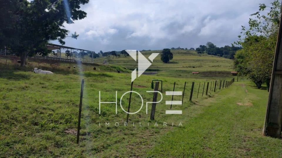 Fazenda à venda – 51 alqueires – Estrutura completa para pecuária leiteira – Angatuba/SP