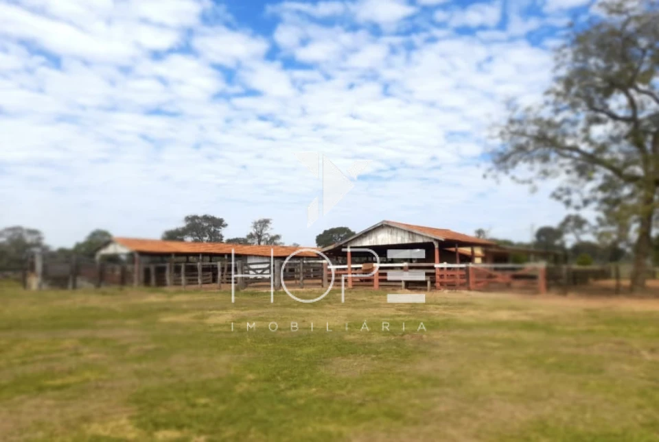 Imagens do imóveis fazenda à venda 622 alqueires dupla aptidão margem de rio – município de Bataguassu – Mato Grosso do Sul