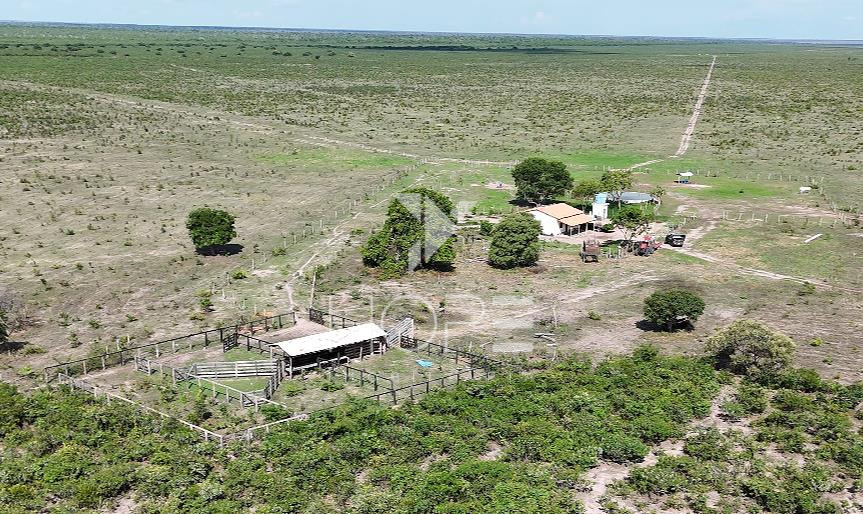 EXCELENTE FAZENDA DE 9300 HECTARES A VENDA EM BAIANÓPOLIS - BAHIA
