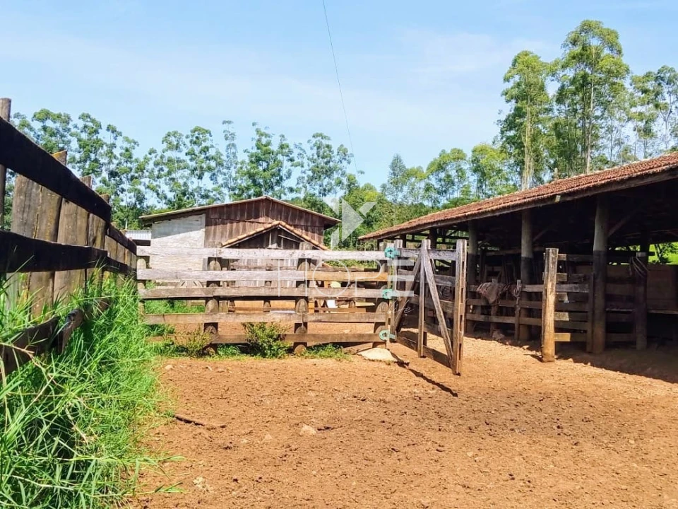 Fazenda à venda com 76 alqueires - pecuária com potencial agrícola - Guaravera - Londrina PR