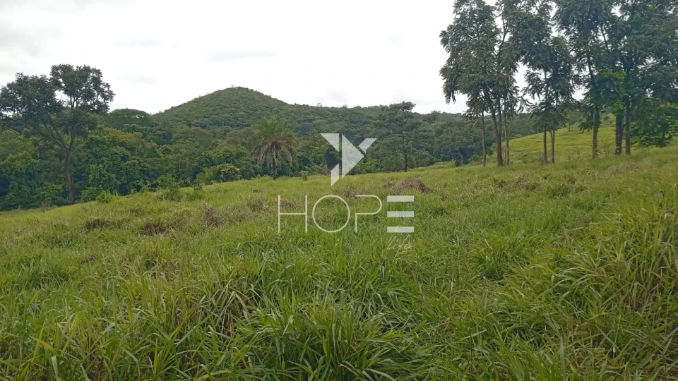 Imagens do imóveis Fazenda à venda com 260 alqueires - 201 formados - confinamento - apta para pivô - Mozarlândia GO