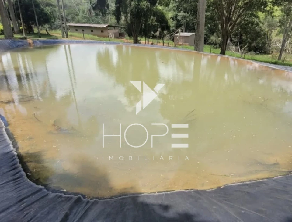 Imagens do imóveis Fazenda Dupla Aptidão - 112 Alqueires - Água Fria de Goiás GO - 542 Hectares - Boa de Água  - Eucalipto e Acácia