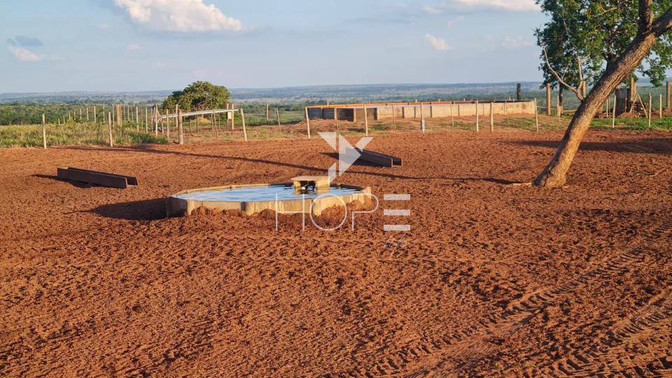 Imagens do imóveis Fazenda em dívida à venda com 322 alqueires - estrutura pecuária completa - Águas Claras MS