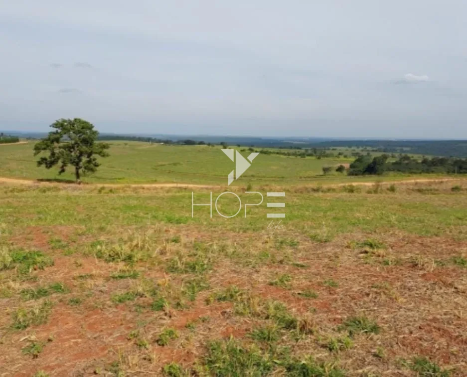 Imagens do imóveis Fazenda à Venda - Solo Misto – 174,24 Hectares – Bauru/SP