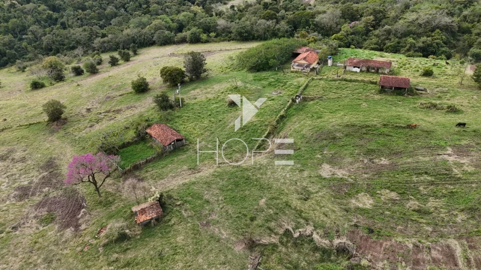 Imagens do imóveis Sítio à Venda de Frente para Rodovia – 87,12 Hectares – Itapetininga/SP