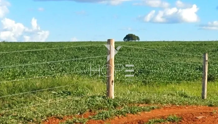 Imagens do imóveis Fazenda à Venda - 80% Plano – 110 Alqueires – Costa Machado – Costa Machado/SP