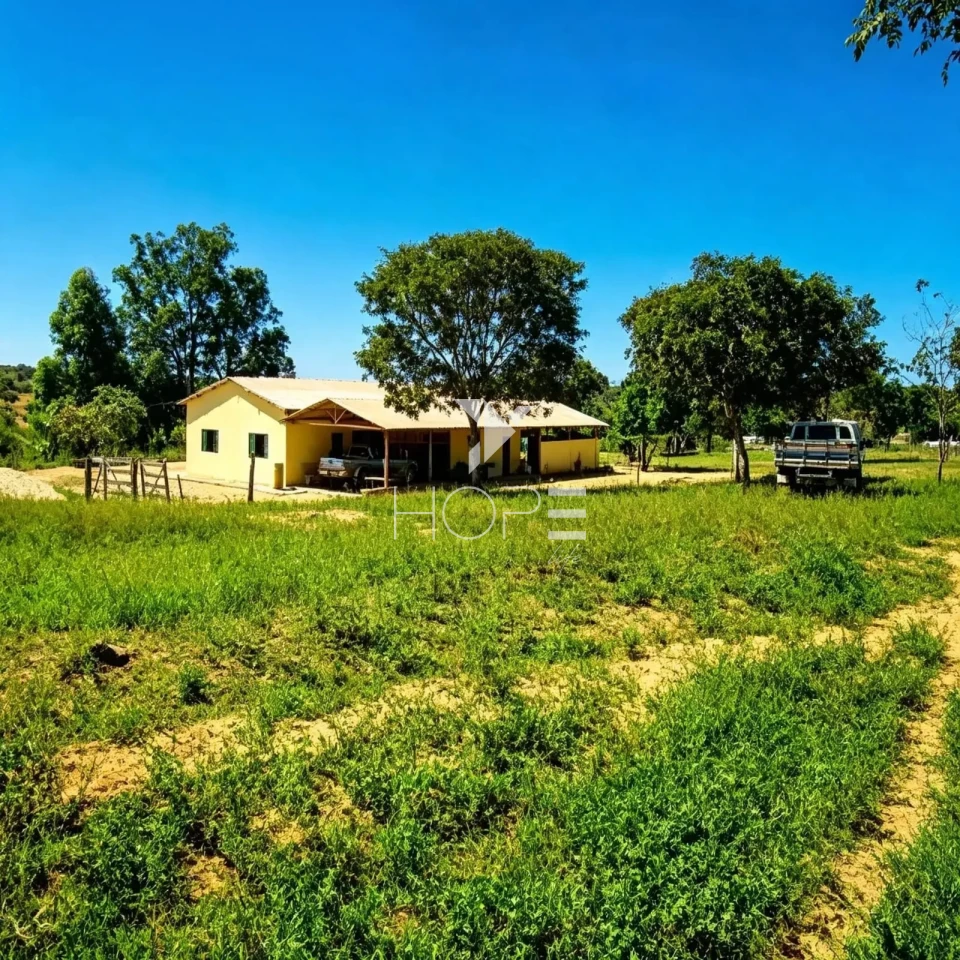 Imagens do imóveis Fazenda à Venda - Reflorestamento e Pecuária – 4.000 Hectares – São Romão/MG