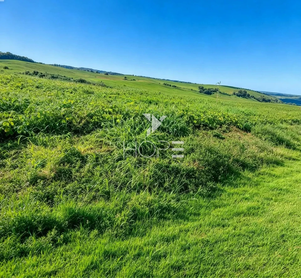 Imagens do imóveis Fazenda à Venda com Dupla Aptidão - Pecuária e Agricultura – 495 Alqueires – Francisco Beltrão – Francisco Beltrão/PR