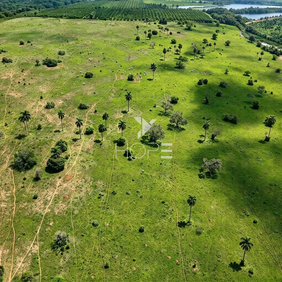 Imagens do imóveis Fazenda à Venda – 99,3 Hectares – Avaré/SP