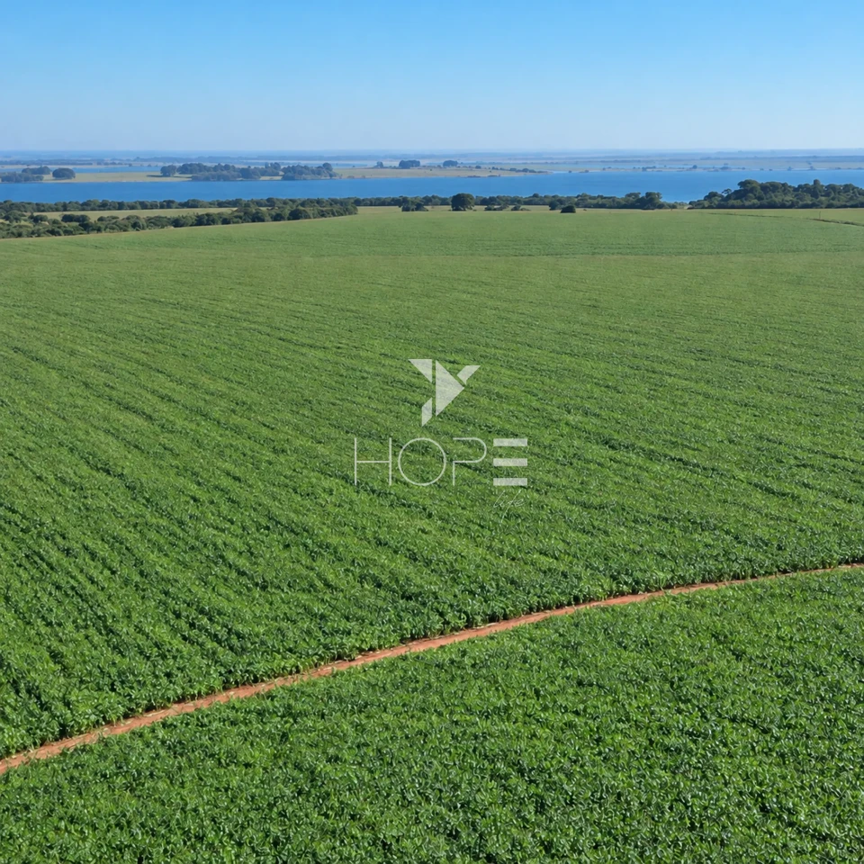 Imagens do imóveis Fazenda á Venda - 755 Hectares - Frente para a Represa do Rio Tibagi - Sertaneja/PR