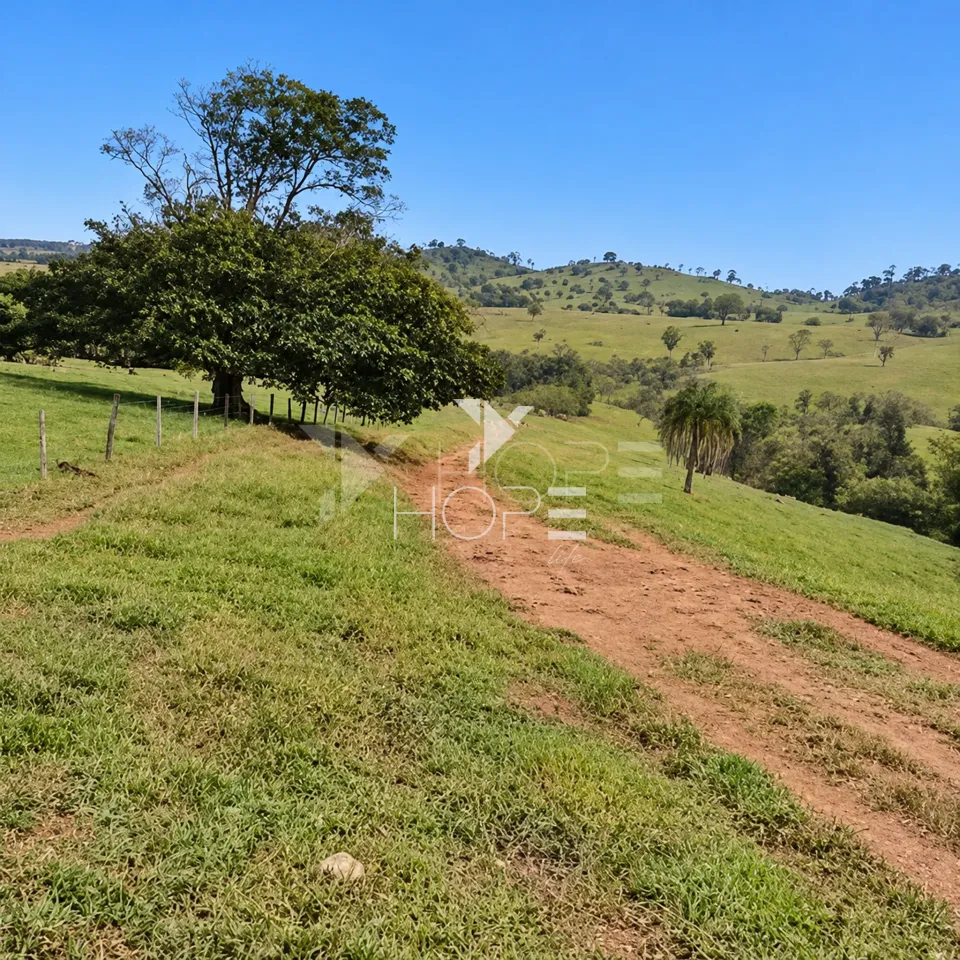 Imagens do imóveis Fazenda à Venda – Zona Rural – Rubiataba/GO