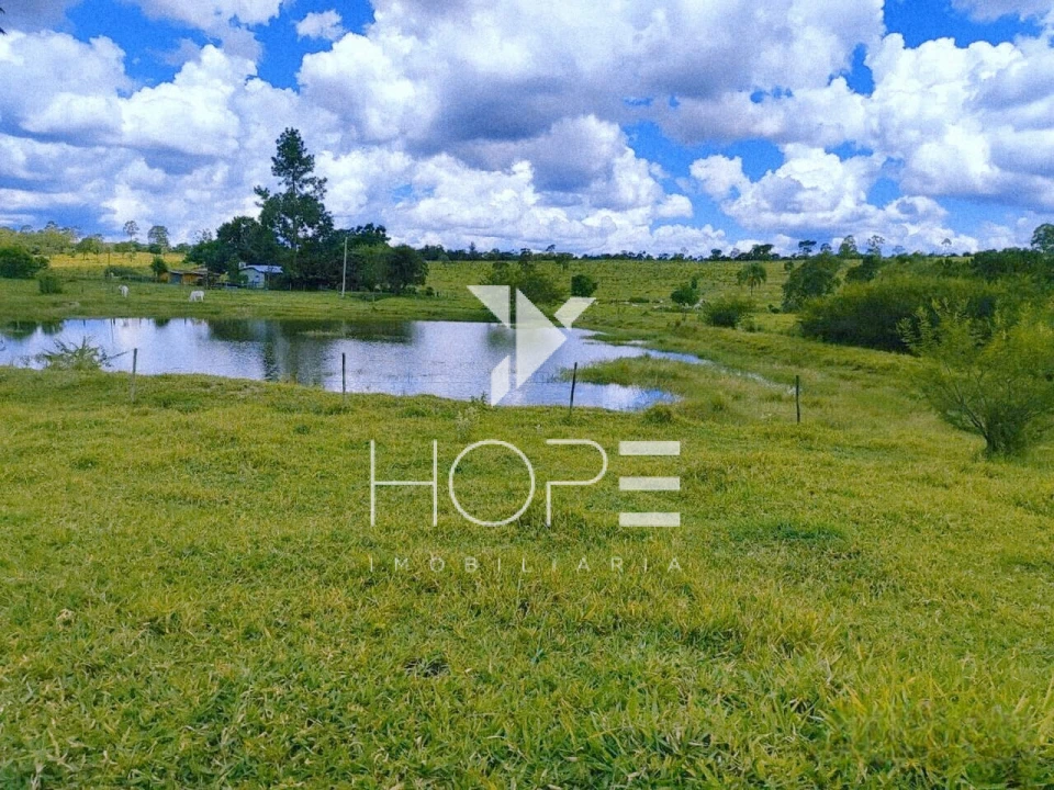 Fazenda à Venda na Região de Botucatu/SP – 294 Alqueires com Frente para a Rodovia Castelo Branco