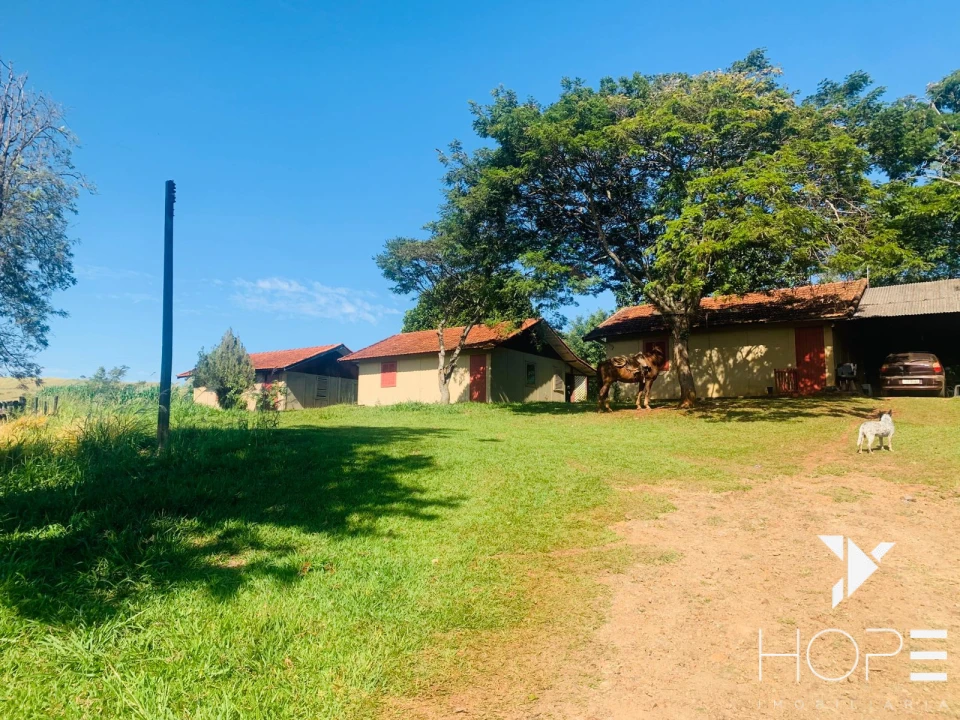 Imagens do imóveis Fazenda agrícola e pecuária à venda – 84 alqueires – Sertanópolis/PR