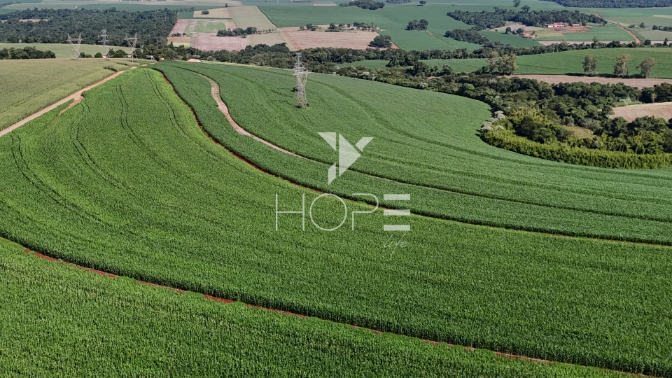 Sítio à venda com 35 alqueires - 847.000m² - próximo à Venda dos Pretos - Cambé PR