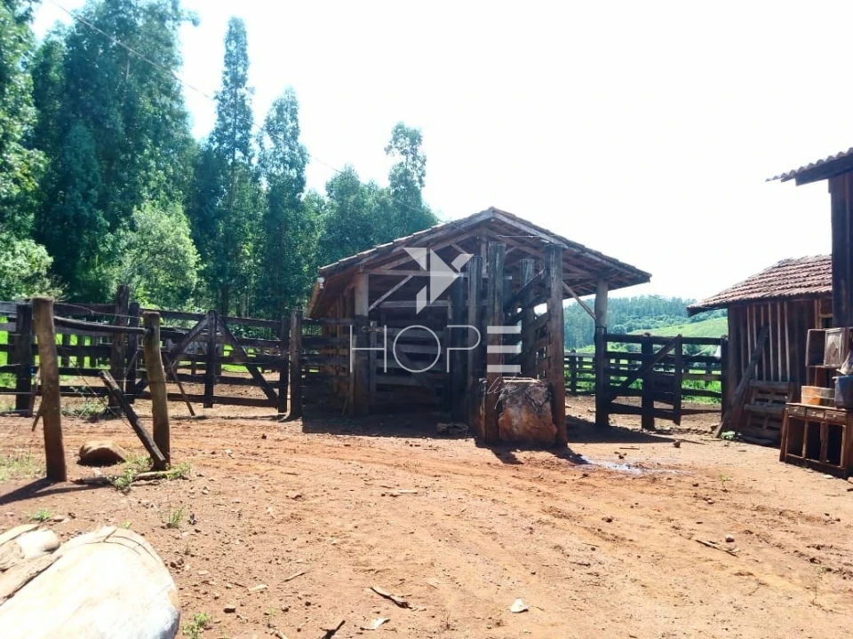 Fazenda à venda com 76 alqueires - pecuária com potencial agrícola - Guaravera - Londrina PR