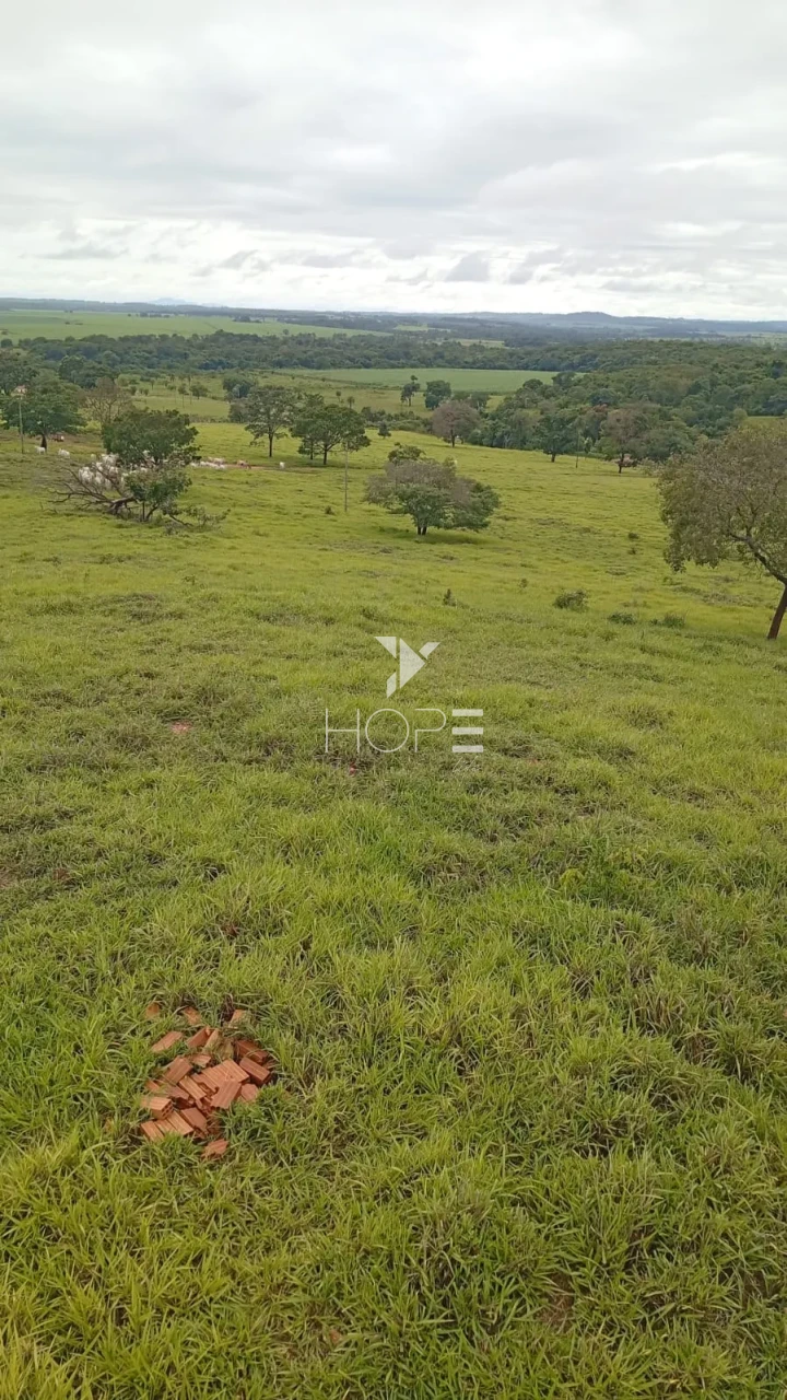 Imagens do imóveis Fazenda à venda com 260 alqueires - 201 formados - confinamento - apta para pivô - Mozarlândia GO