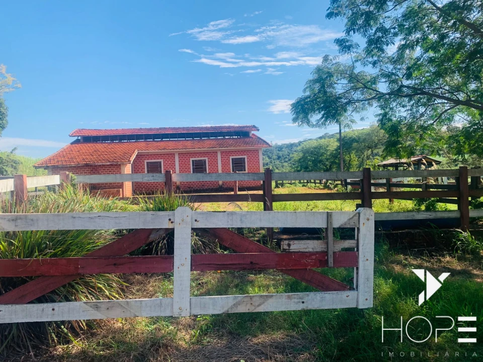 Imagens do imóveis Fazenda agrícola e pecuária à venda – 84 alqueires – Sertanópolis/PR