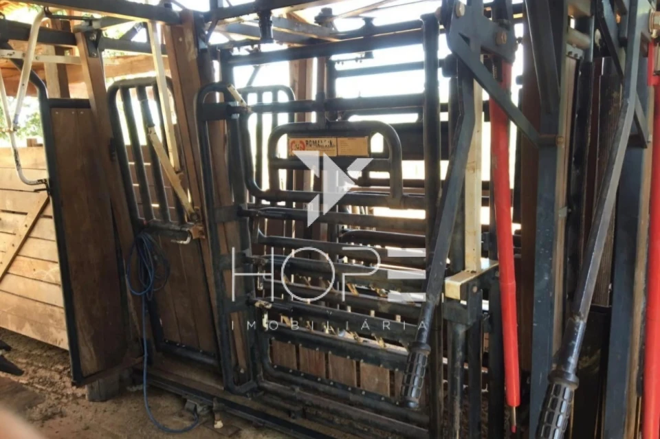 Imagens do imóveis Fazenda 326 Alqueires - Dupla Aptidão - Unaí MG - Entre Unaí e Paracatu - Margens de Rodovia