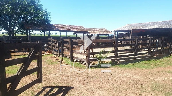 Imagens do imóveis Sítio à venda 13 alqueires pecuária benfeitorias completas – Porto São José – São Pedro do Paraná – próximo a Porto Rico