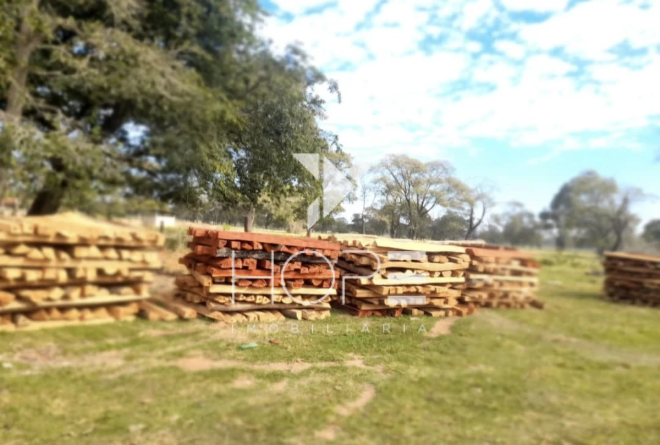 Imagens do imóveis fazenda à venda 622 alqueires dupla aptidão margem de rio – município de Bataguassu – Mato Grosso do Sul