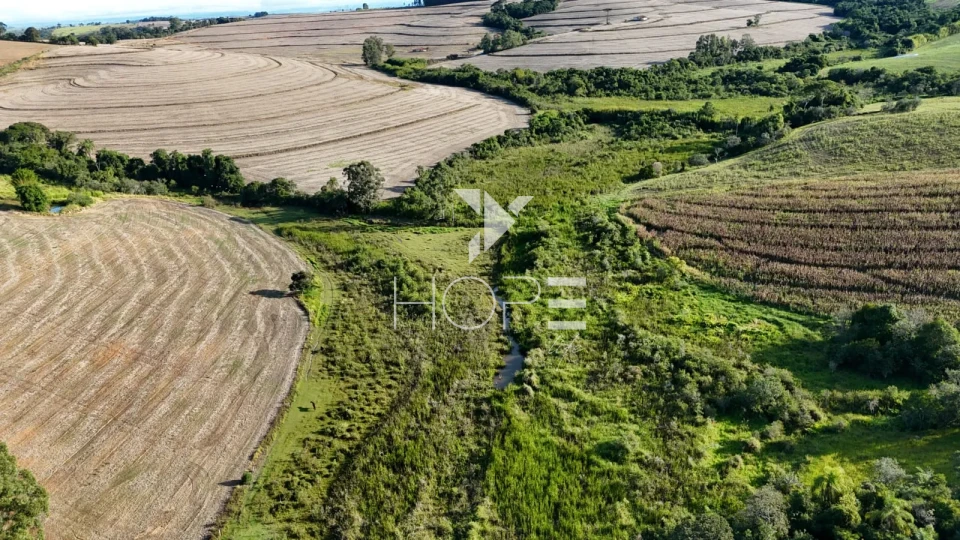 Imagens do imóveis Sítio porteira fechada à venda com 17.66 alqueires - agricultura e pecuária - Itapetininga SP