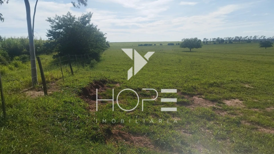 Imagens do imóveis Fazenda à venda 126 alqueires pecuária – região de Loanda – Paraná