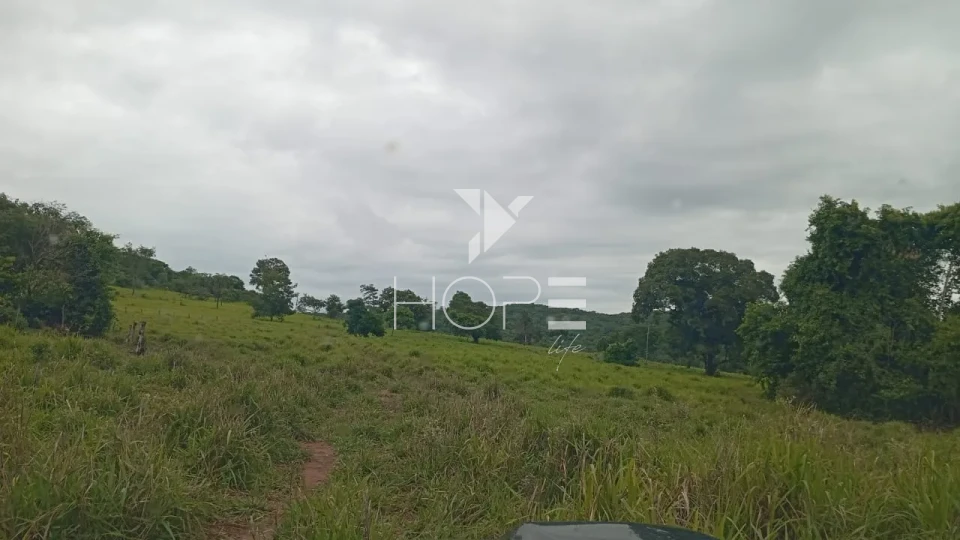 Imagens do imóveis Fazenda à venda com 260 alqueires - 201 formados - confinamento - apta para pivô - Mozarlândia GO
