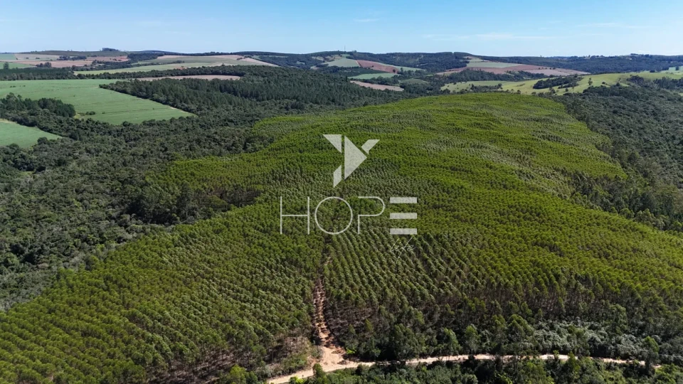 Imagens do imóveis Fazenda à venda com 75 alqueires (181.5 hectares) - agricultura e eucalipto - São Miguel Arcanjo SP