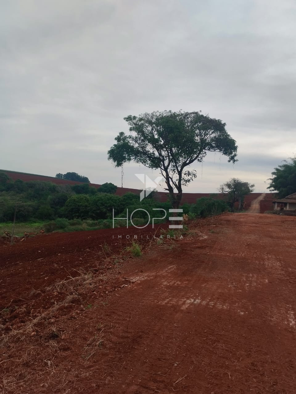 Imagens do imóveis Fanzenda de  84.5 Alqueires a venda  em Guaravera