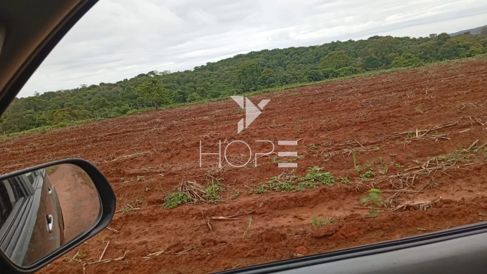 Imagens do imóveis Fazenda à venda com 260 alqueires - 201 formados - confinamento - apta para pivô - Mozarlândia GO