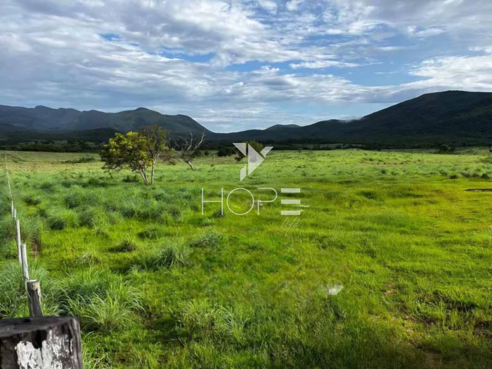 Imagens do imóveis Fazenda à venda 2.725 hectares pecuária porteira fechada – região de Monte Alegre de Goiás – Goiás