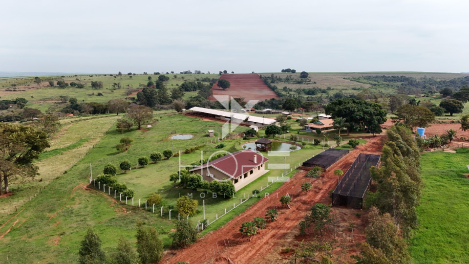 Imagens do imóveis Excelente Sítio à venda  de 6 alqueires em Jaguapitã