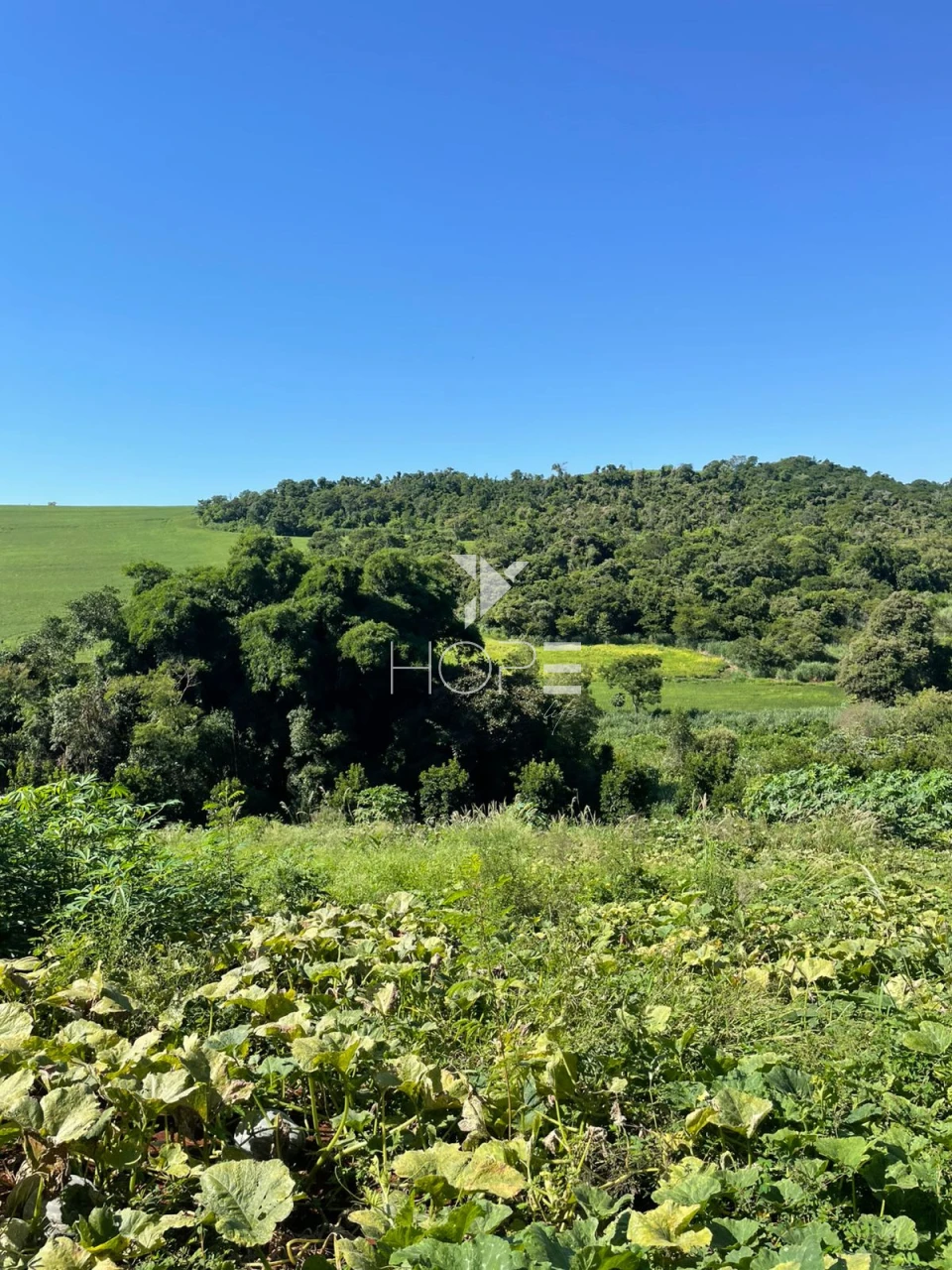 Imagens do imóveis Sítio à venda com 7.5 alqueires - Área para plantio - Jataizinho/PR