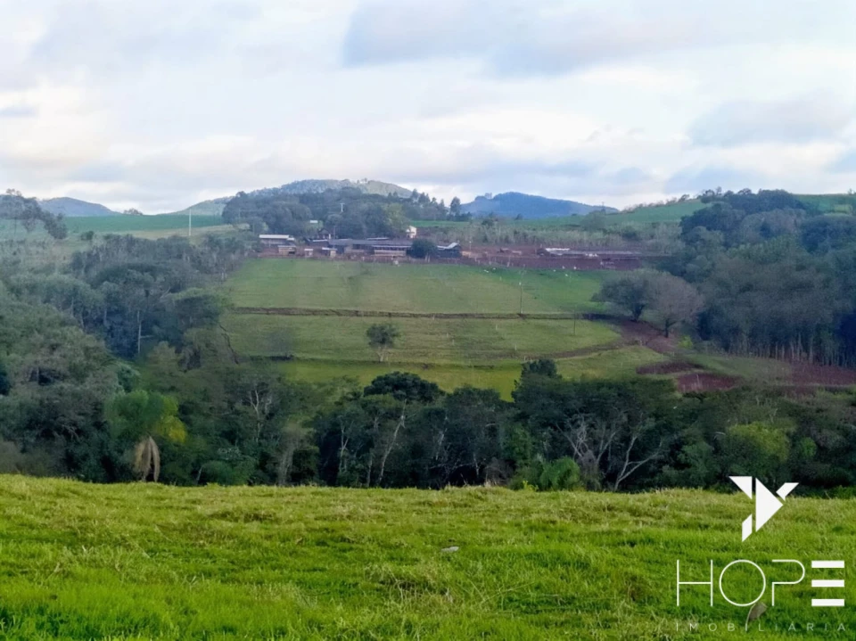 Imagens do imóveis Sítio à venda em Tamarana – Localização privilegiada na beira da estrada