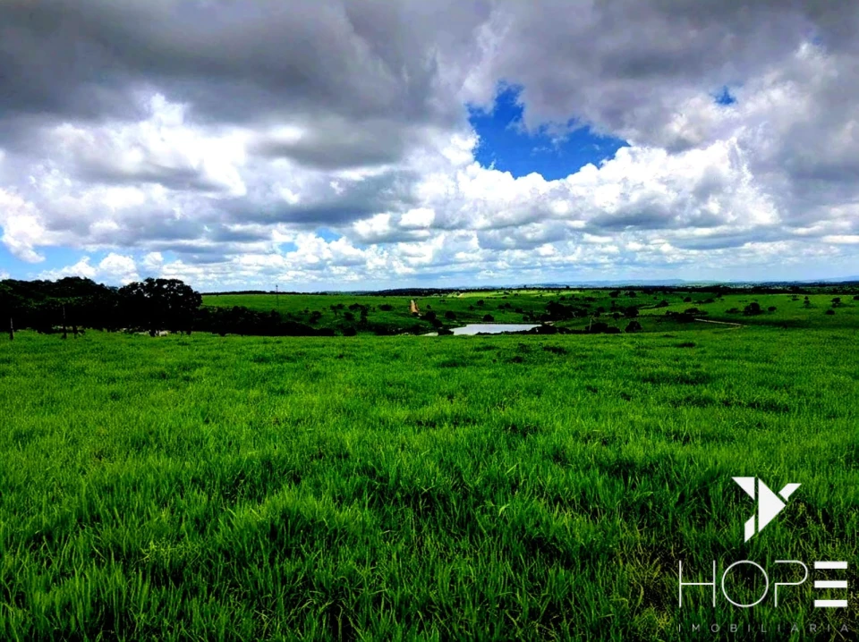 Fazenda à venda – 6.000 hectares – DIVINÓPOLIS/MA – Estrutura completa para pecuária e lavoura
