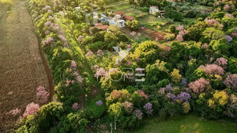Imagens do imóveis Chácara à Venda – Londrina - 8km da Cidade - 980.000