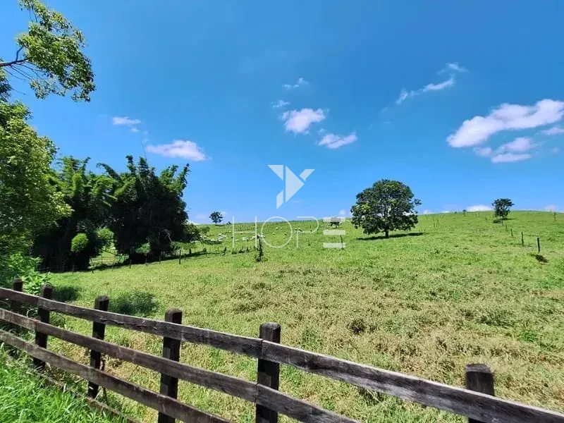 Imagens do imóveis Fazenda à Venda - Cachoeira Paulista – 215,38 Hectares – Vale do Paraíba – Barra Mansa/RJ