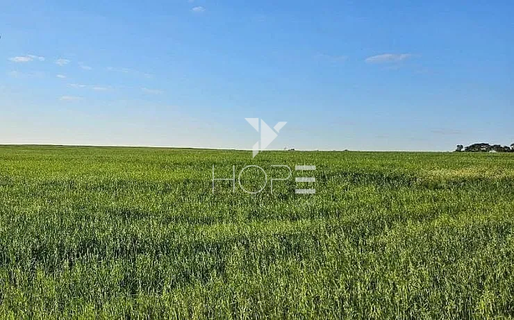 Imagens do imóveis Fazenda à Venda - Solo Misto – 174,24 Hectares – Bauru/SP
