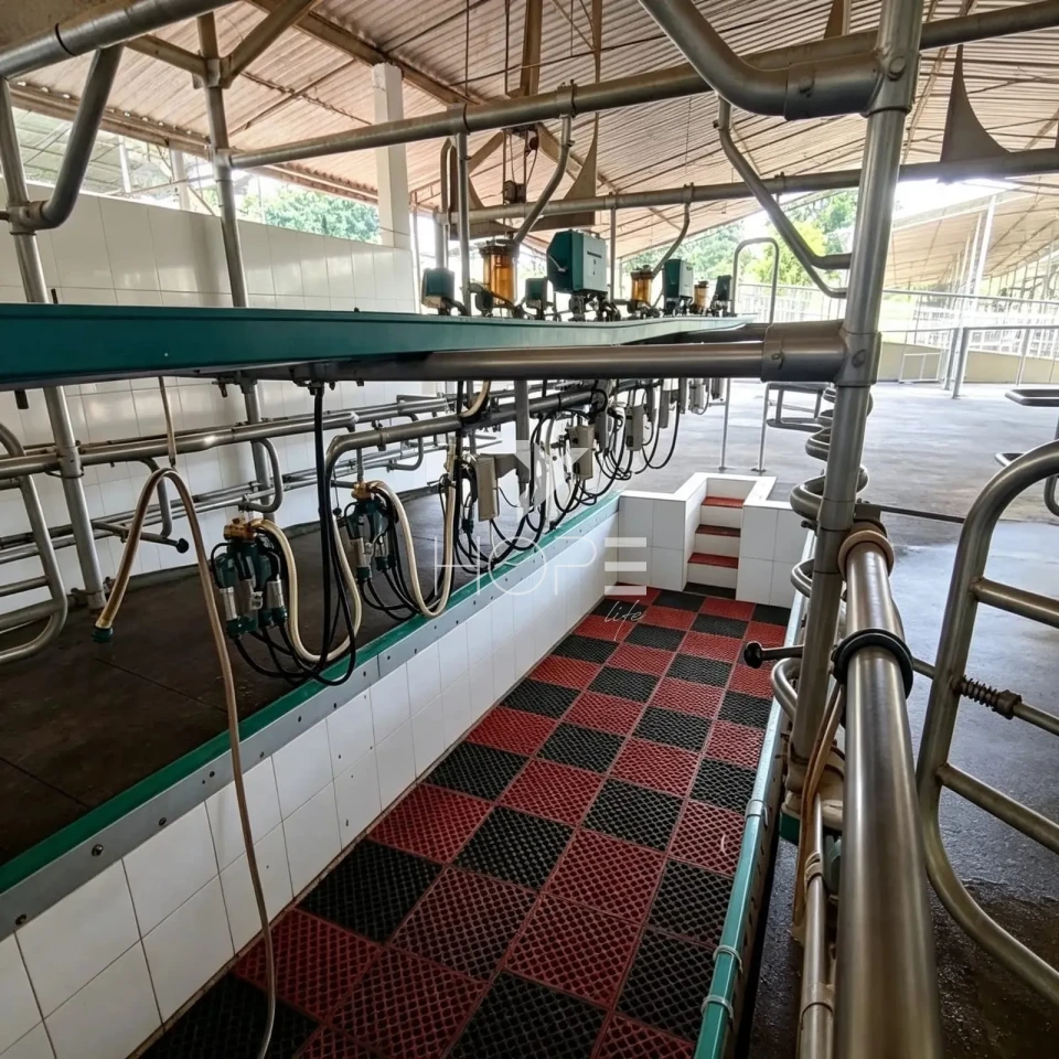 Imagens do imóveis Fazenda à Venda - Porteira Fechada – 50,8 Alqueires – Região de Itapetininga/SP
