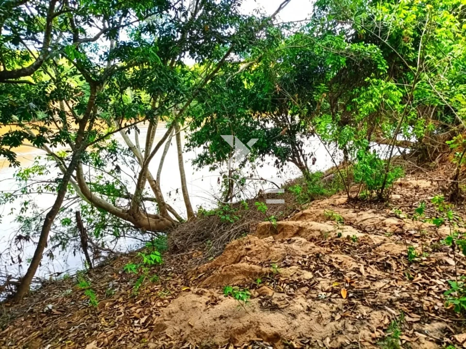 Fazenda à Venda com Aptidão Pecuária – 364 Hectáres – Três Marias/MG