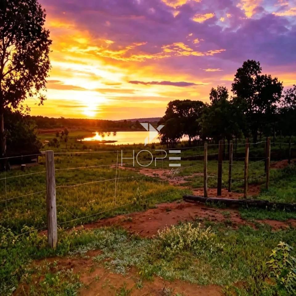 Imagens do imóveis Fazenda à Venda - Reflorestamento e Pecuária – 4.000 Hectares – São Romão/MG