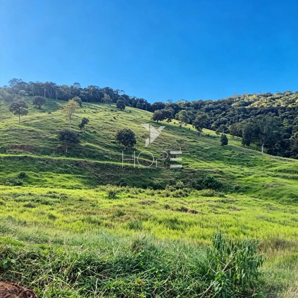 Imagens do imóveis Fazenda à Venda com Infraestrutura Completa – 294,30 Hectares – Carmésia/MG