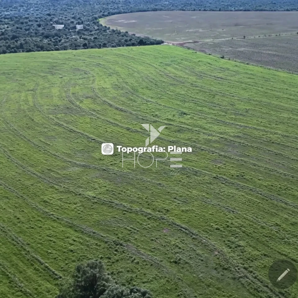 Imagens do imóveis Fazenda à Venda com Aptidão Pecuária - Topografia Plana – 560 Alqueires – Rosana/SP - Fronteira SP - PR - MS