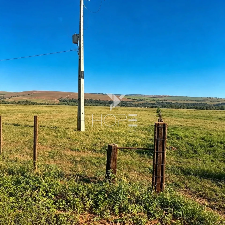 Imagens do imóveis Fazenda à Venda - Agricultura e Pecuária - Topografia Plana – 5.359 Hectares – Sonora – Sonora/MS
