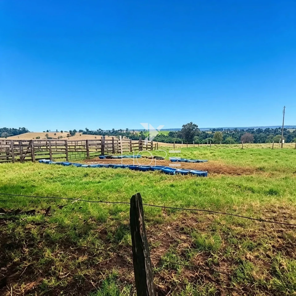 Imagens do imóveis Fazenda à Venda - 3km da Cidade – 183,77 Alqueires – Paranavaí – Paranavaí/PR