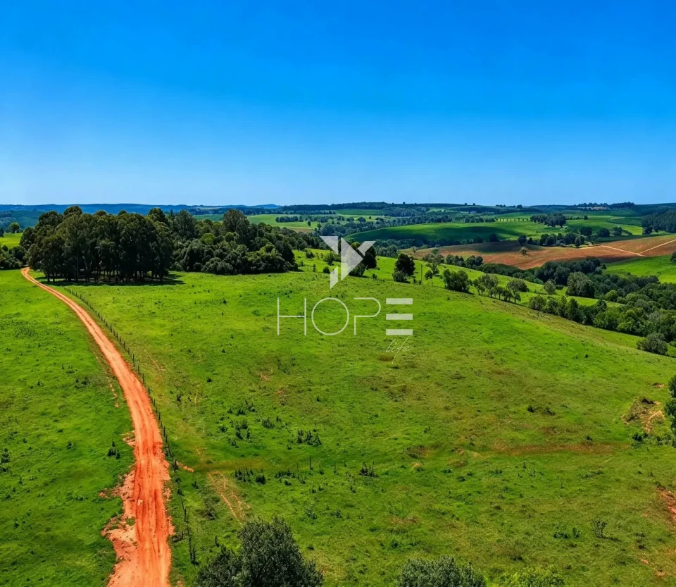 Imagens do imóveis Fazenda à Venda – 99,3 Hectares – Avaré/SP